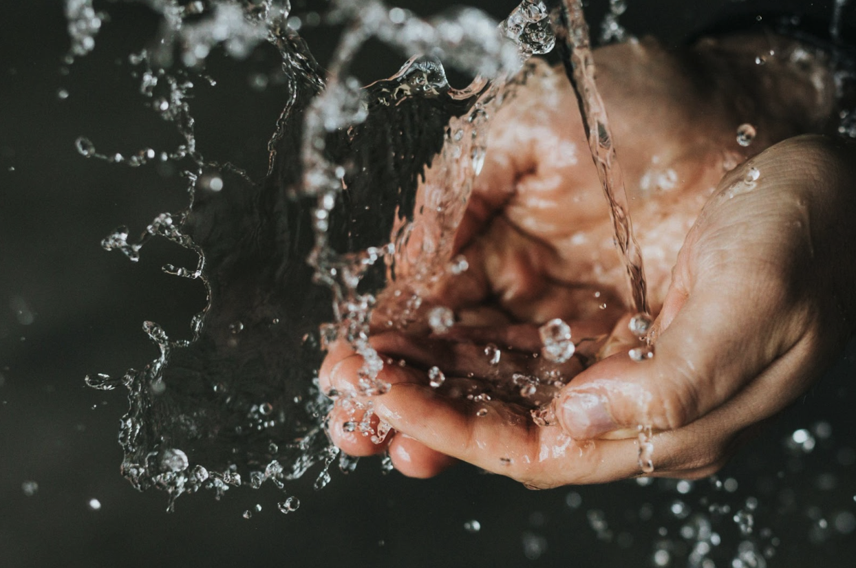 Photo by Nathan Dumlao on Unsplash